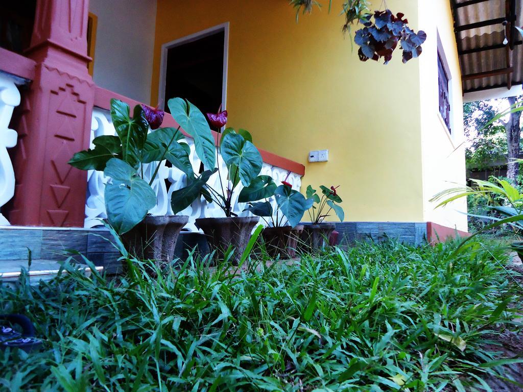 Sigiri Sithru Home Stay Сигирия Екстериор снимка